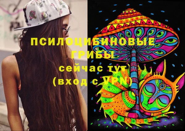 ECSTASY Зерноград