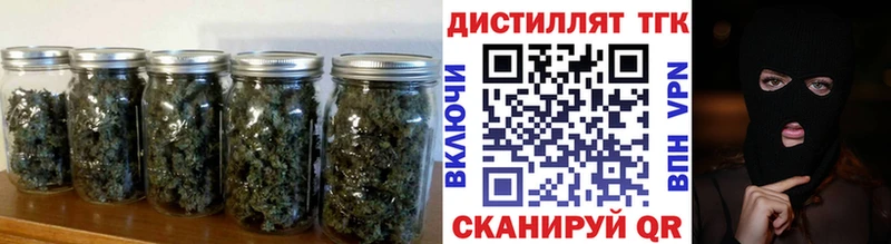 Купить где  Елизаветинская  ТГК концентрат 