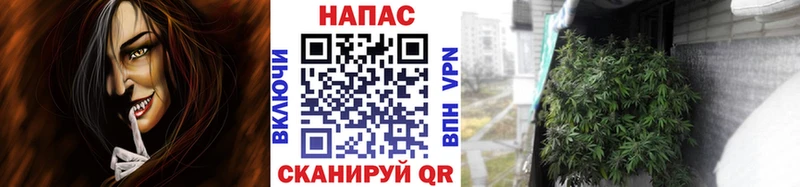 Купить  Елизаветинская  Бошки Шишки план 
